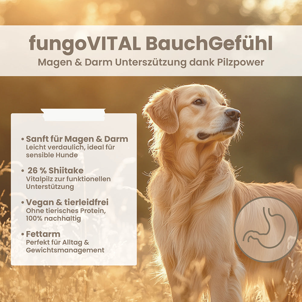 fungoVITAL BauchGefühl im Überblick: sanft für Magen und Darm, 26 Prozent Shiitake, vegan und fettarm