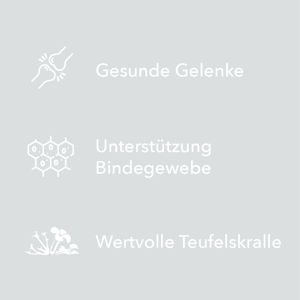 Merkmale von entoVITAL CAT Mobility als Symbole: gesunde Gelenke, Unterstützung des Bindegewebes, wertvolle Teufelskralle