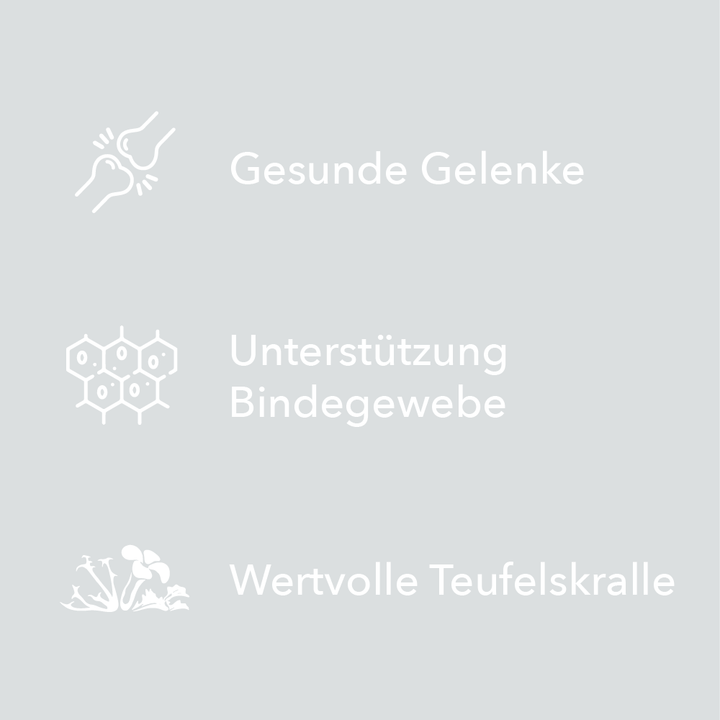 Merkmale von entoVITAL CAT Mobility als Symbole: gesunde Gelenke, Unterstützung des Bindegewebes, wertvolle Teufelskralle