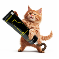 Katze