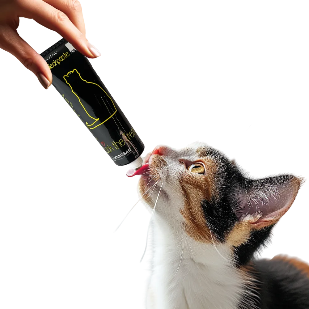 Eine Hand hält eine Tube entoVITAL CAT Schleckpaste, eine dreifarbige Katze leckt die Paste ab