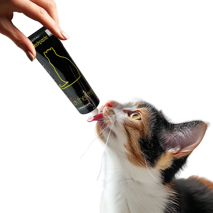 Eine Hand hält eine Tube entoVITAL CAT Schleckpaste, eine dreifarbige Katze leckt die Paste ab