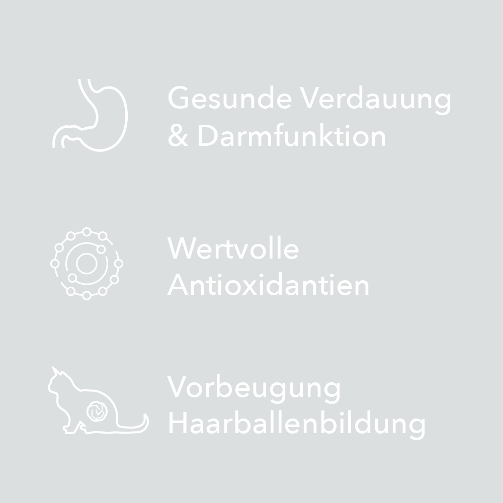 Merkmale der entoVITAL Schleckpaste als Symbole: ohne Zusatz von Zucker, glutenfrei und getreidefrei, hypoallergen