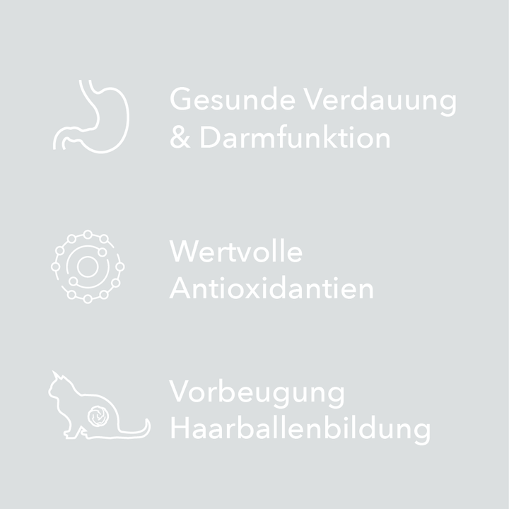 Merkmale der entoVITAL Schleckpaste als Symbole: ohne Zusatz von Zucker, glutenfrei und getreidefrei, hypoallergen