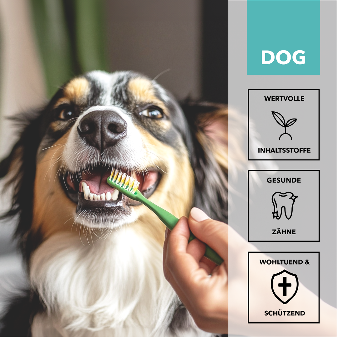 TAMACAN CBD Dental Gel: biologisch kultivierter Hanf, Handarbeit, für mehr Balance