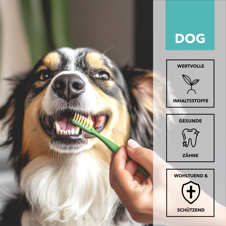 TAMACAN CBD Dental Gel: biologisch kultivierter Hanf, Handarbeit, für mehr Balance