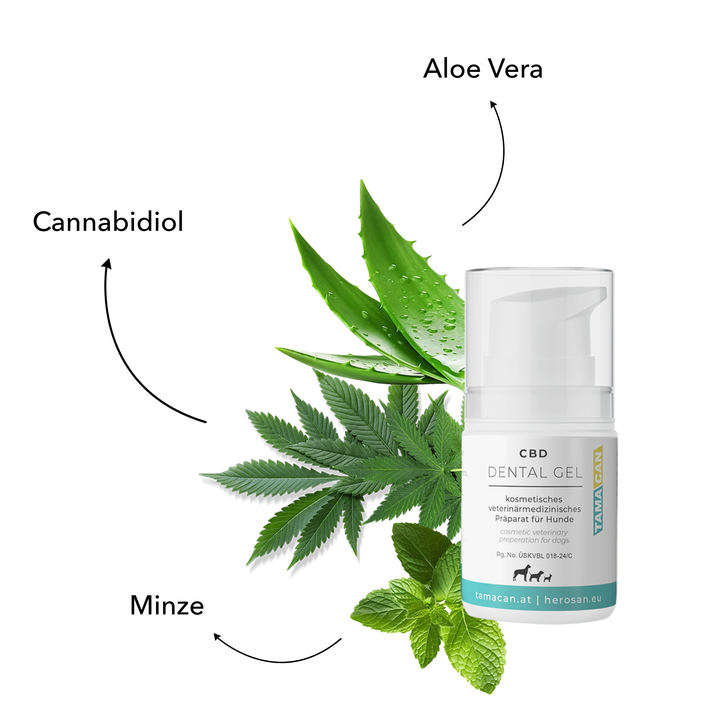 Inhaltsstoffe von TAMACAN CBD Dental Gel