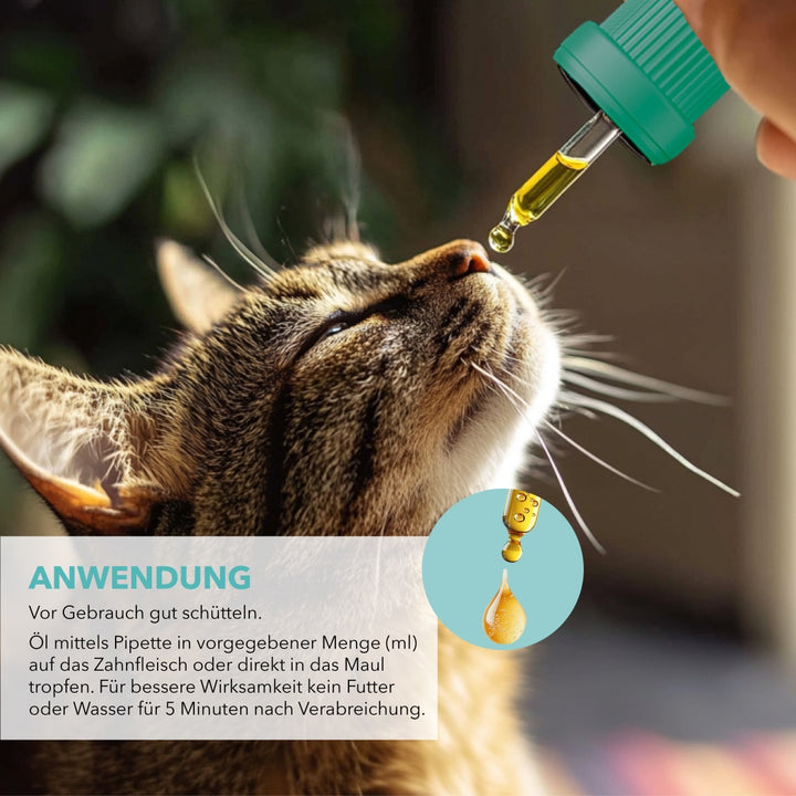 Anwendung von TAMACAN ISOLAT+: Öl mit der Pipette dosieren