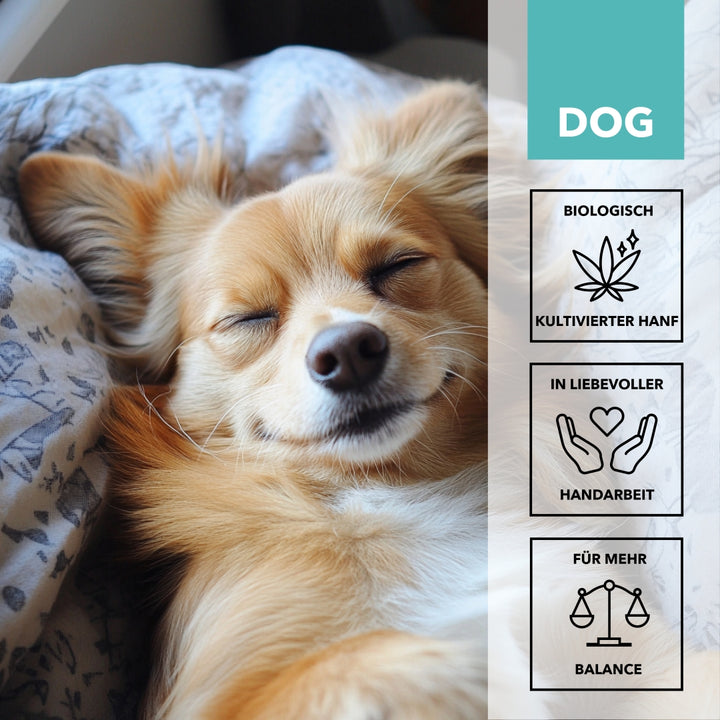 TAMACAN RELAX für Hunde: biologisch kultivierter Hanf, Handarbeit, für mehr Balance