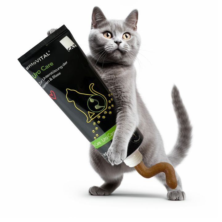 Werbemotiv: eine graue Katze hält eine überdimensionale Tube entoVITAL CAT Uro Care, aus der die Paste quillt