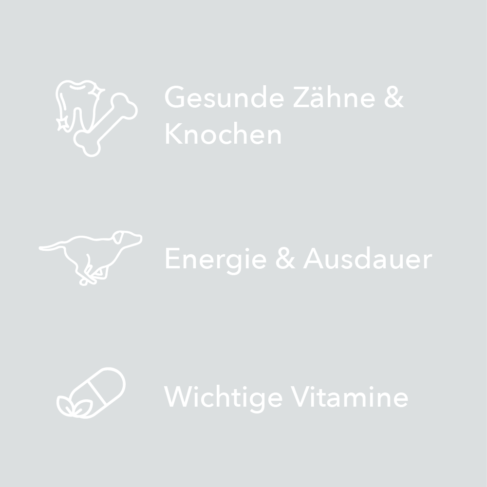 Merkmale von entoVITAL DOG Vitamin Boost als Symbole: gesunde Zähne und Knochen, Energie und Ausdauer, wichtige Vitamine
