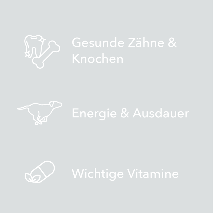 Merkmale von entoVITAL DOG Vitamin Boost als Symbole: gesunde Zähne und Knochen, Energie und Ausdauer, wichtige Vitamine