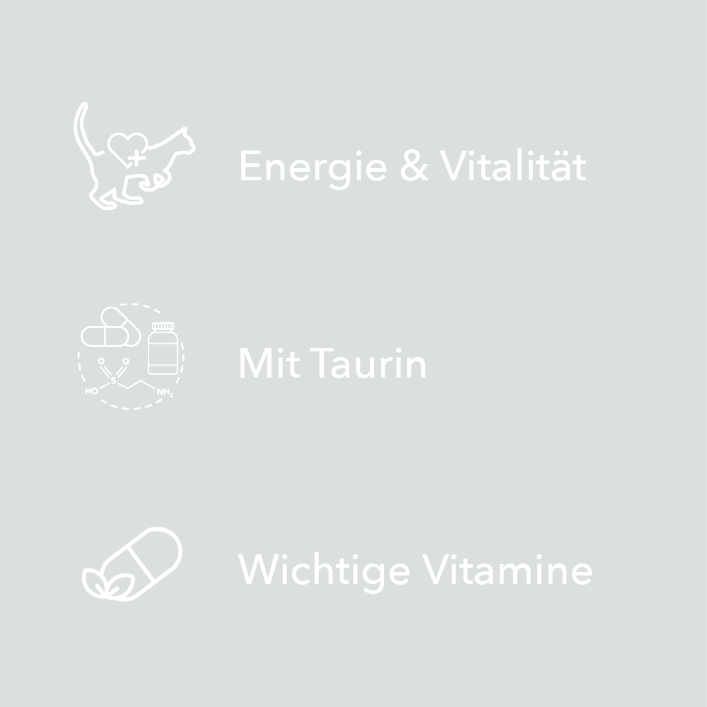 Merkmale von entoVITAL CAT Vitamin Boost als Symbole: Energie und Vitalität, mit Taurin, wichtige Vitamine