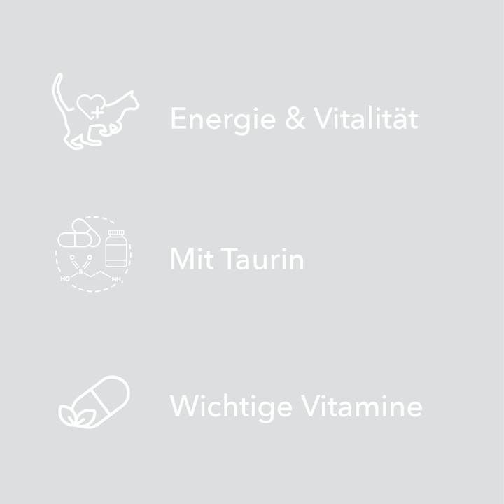 Merkmale von entoVITAL CAT Vitamin Boost als Symbole: Energie und Vitalität, mit Taurin, wichtige Vitamine