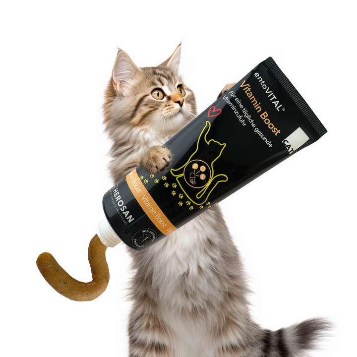 Werbemotiv: eine langhaarige getigerte Katze hält eine überdimensionale Tube entoVITAL CAT Vitamin Boost, aus der die Paste quillt