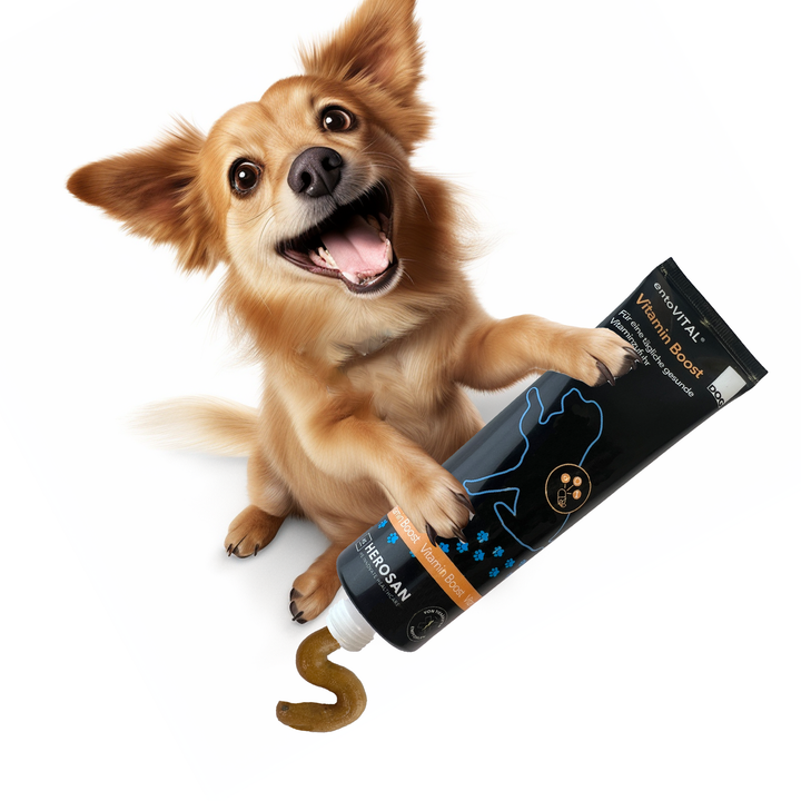 Werbemotiv: ein kleiner heller Hund hält eine überdimensionale Tube entoVITAL DOG Vitamin Boost, aus der die Paste quillt