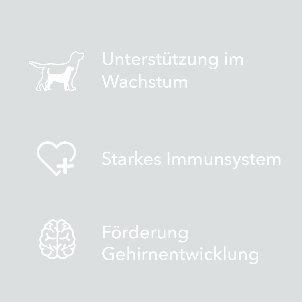 Merkmale von entoVITAL DOG Vitamin Boost Puppy als Symbole: Unterstützung im Wachstum, starkes Immunsystem, Förderung der Gehirnentwicklung