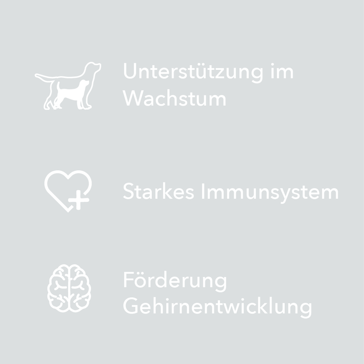 Merkmale von entoVITAL DOG Vitamin Boost Puppy als Symbole: Unterstützung im Wachstum, starkes Immunsystem, Förderung der Gehirnentwicklung