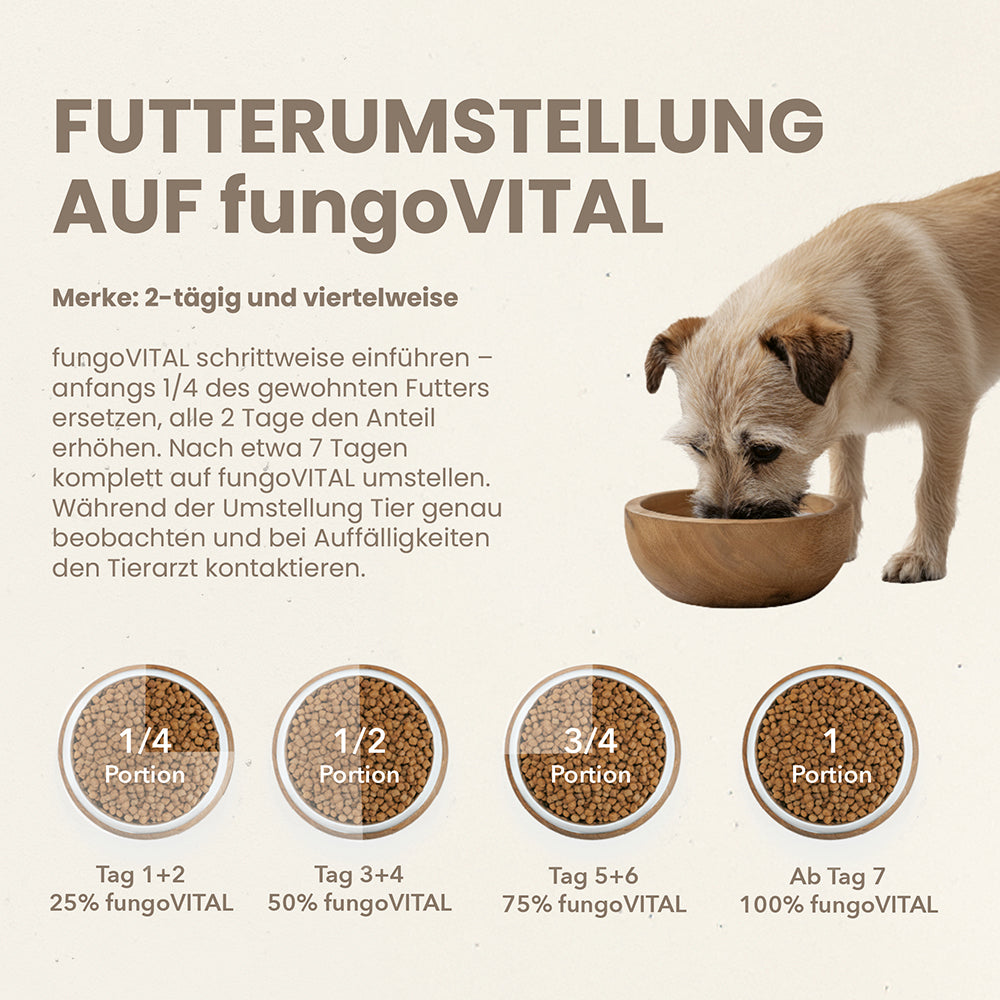 Futterumstellung auf fungoVITAL WaldMenü: empfohlener Ablauf über mehrere Tage