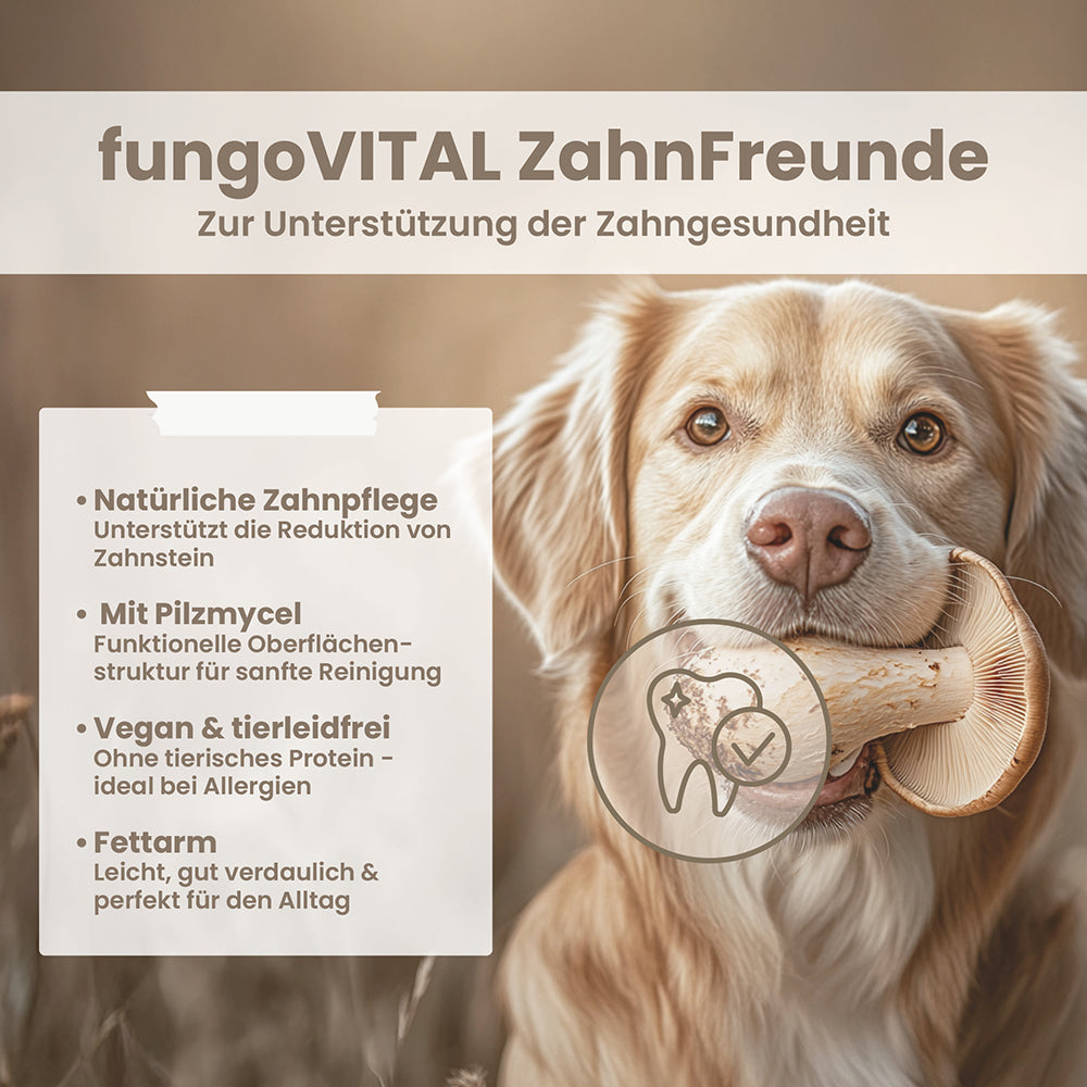 fungoVITAL ZahnFreunde im Überblick: Merkmale des Zahnpflege-Snacks für Hunde