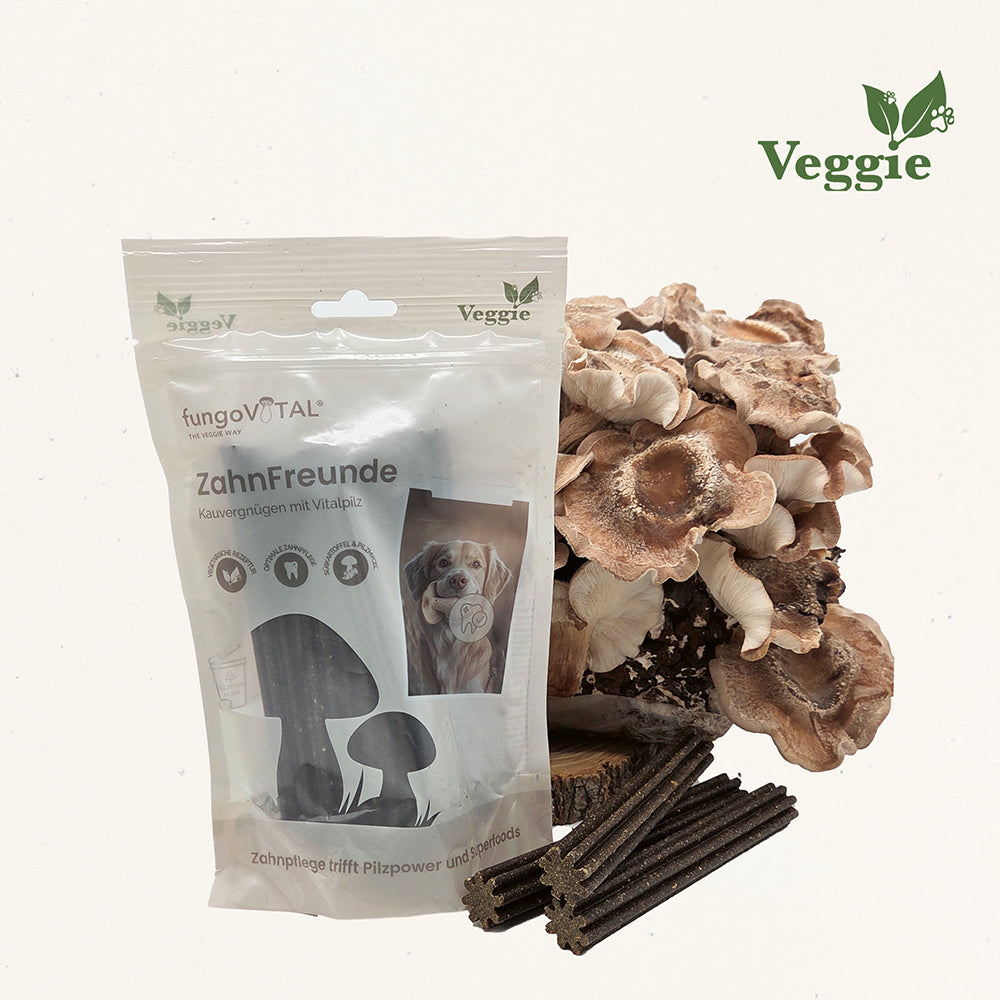 Produktbild fungoVITAL ZahnFreunde, Zahnpflege-Snack für Hunde mit Vitalpilzen
