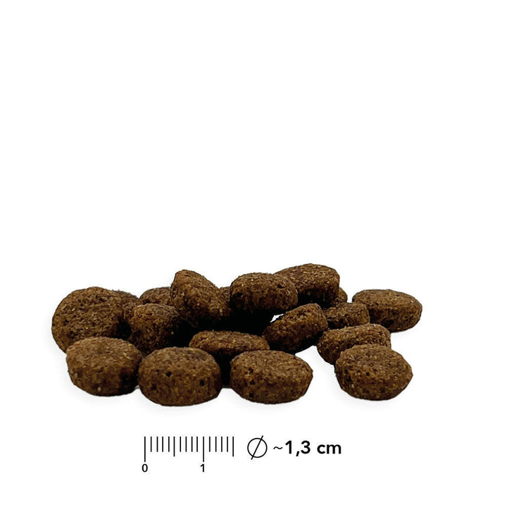 Kroketten von entoVITAL Trockenfutter mit Massstab, Durchmesser rund 1,3 Zentimeter