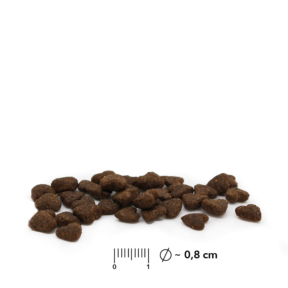 Kroketten von entoVITAL Trockenfutter mit Massstab, Durchmesser rund 1,5 Zentimeter