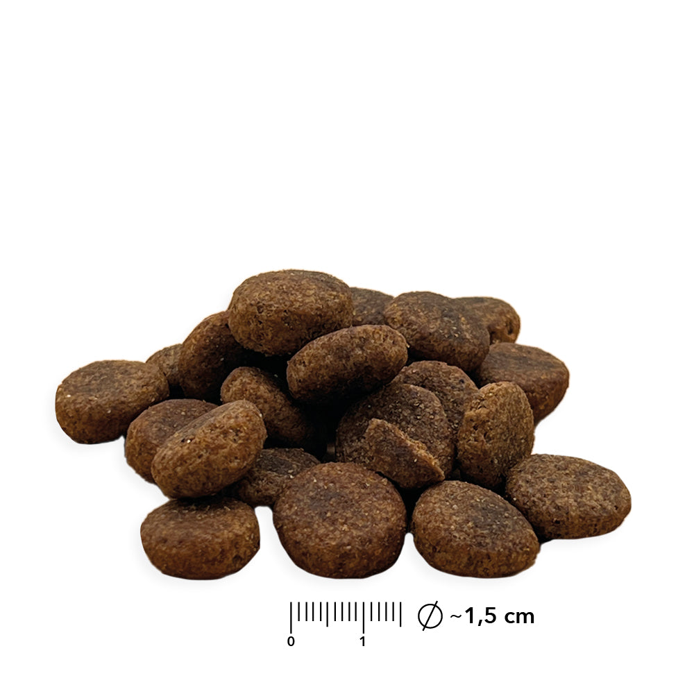 Kroketten von entoVITAL Trockenfutter mit Massstab, Durchmesser rund 1,5 Zentimeter