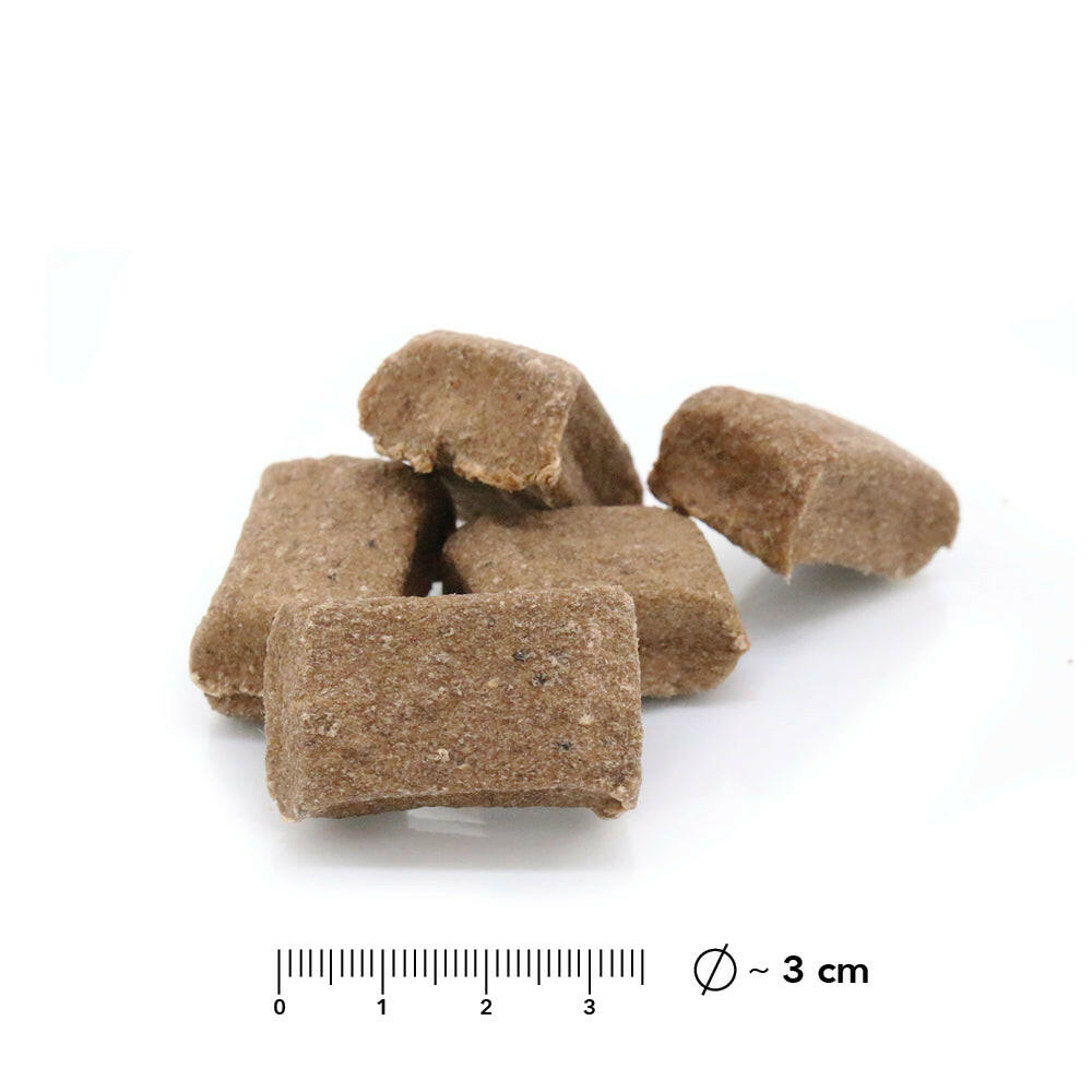 entoVITAL DOG Cubes mit Massstab, Kantenlänge rund 3 Zentimeter