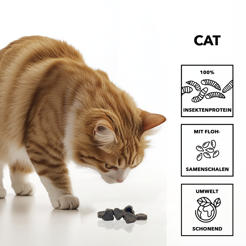 Rote Katze schnuppert an herzförmigen entoVITAL CAT Soft Snacks, daneben die Merkmale: 100 Prozent Insektenprotein, mit Flohsamenschalen, umweltschonend