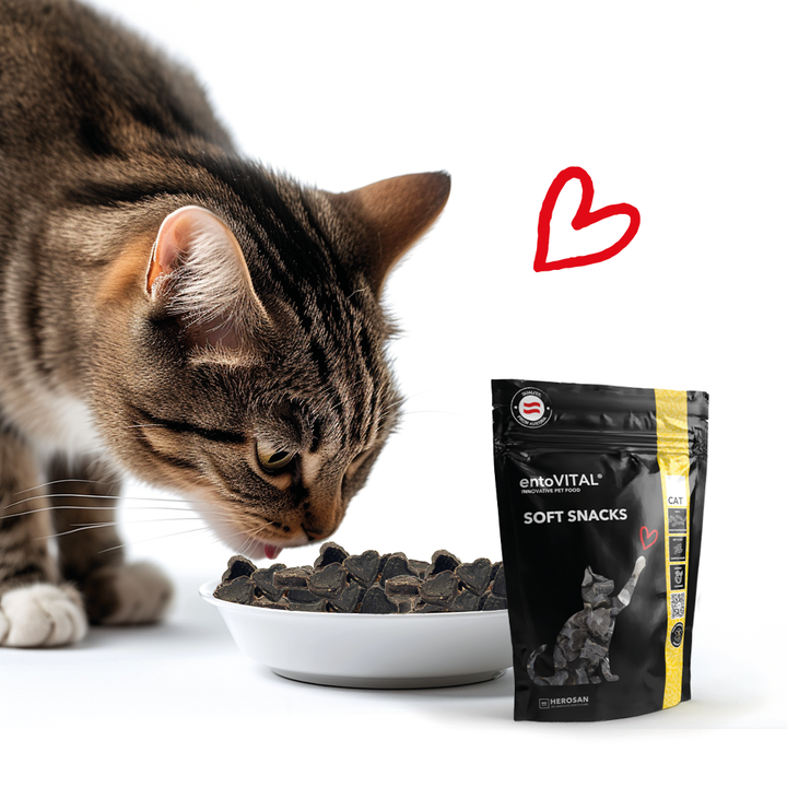 Getigerte Katze frisst herzförmige entoVITAL CAT Soft Snacks aus einer weissen Schale, daneben der Beutel