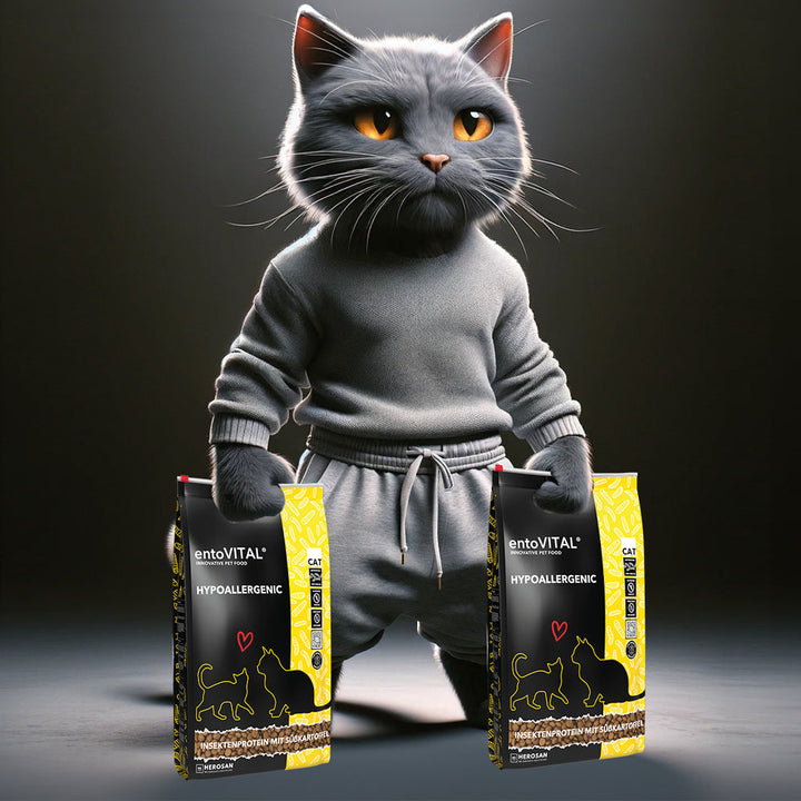 Werbemotiv: eine graue Katze im grauen Pullover steht aufrecht und hält in jeder Pfote einen Sack entoVITAL CAT HYPOALLERGENIC