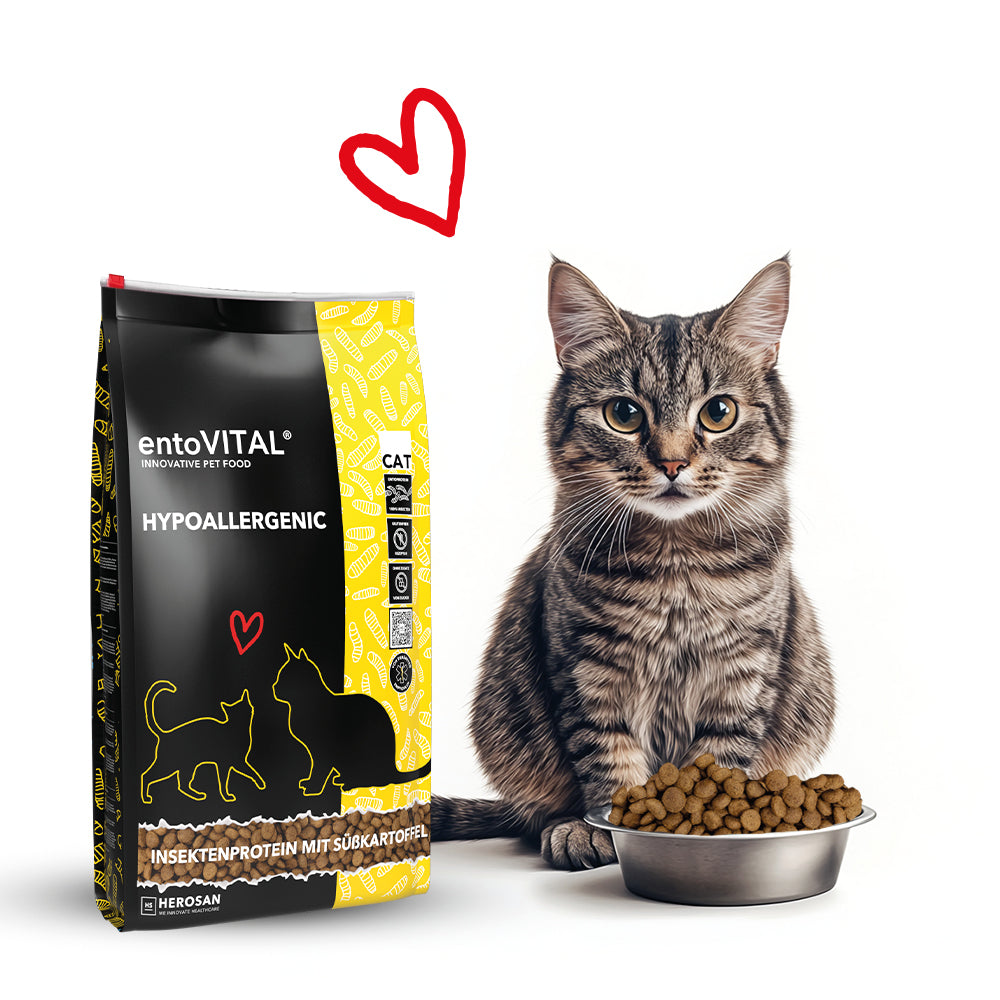 Sack entoVITAL CAT HYPOALLERGENIC neben einer getigerten Katze, die vor einem Edelstahlnapf mit Kroketten sitzt