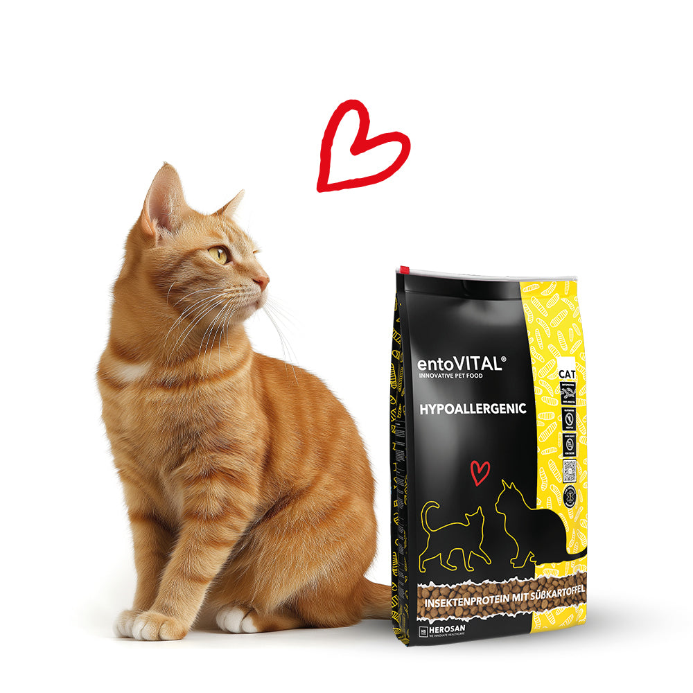 Rote getigerte Katze sitzt neben einem Sack entoVITAL CAT HYPOALLERGENIC, darüber ein rotes Herz