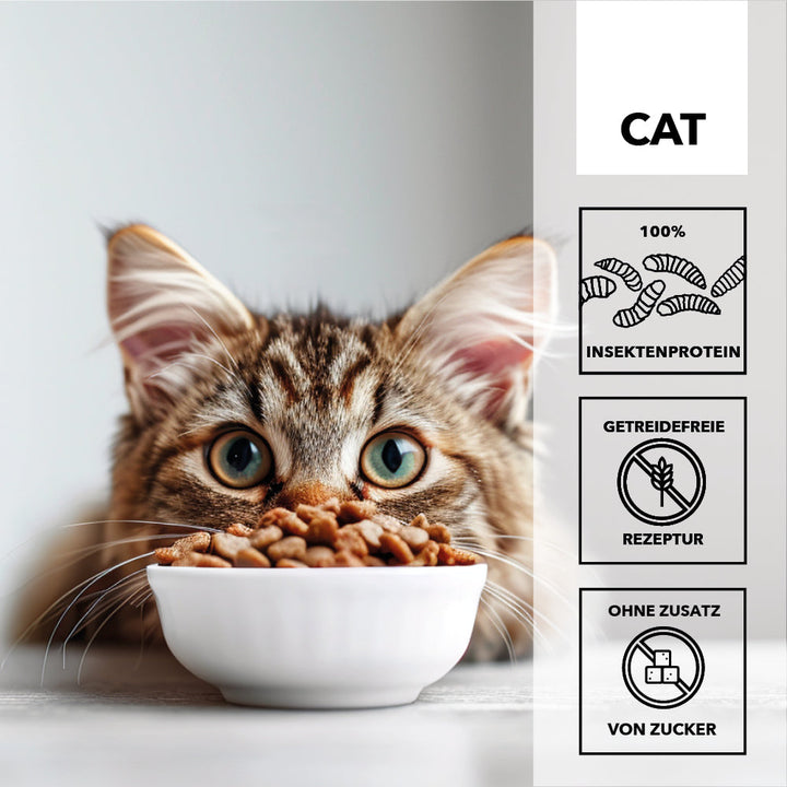 Junge getigerte Katze frisst aus einer weissen Schale, daneben die Merkmale: 100 Prozent Insektenprotein, getreidefreie Rezeptur, ohne Zusatz von Zucker