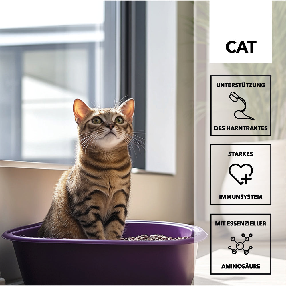 Getigerte Katze sitzt in einer violetten Katzentoilette, daneben die Merkmale: Unterstützung des Harntraktes, starkes Immunsystem, mit essenzieller Aminosäure