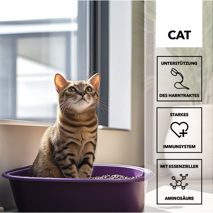 Getigerte Katze sitzt in einer violetten Katzentoilette, daneben die Merkmale: Unterstützung des Harntraktes, starkes Immunsystem, mit essenzieller Aminosäure