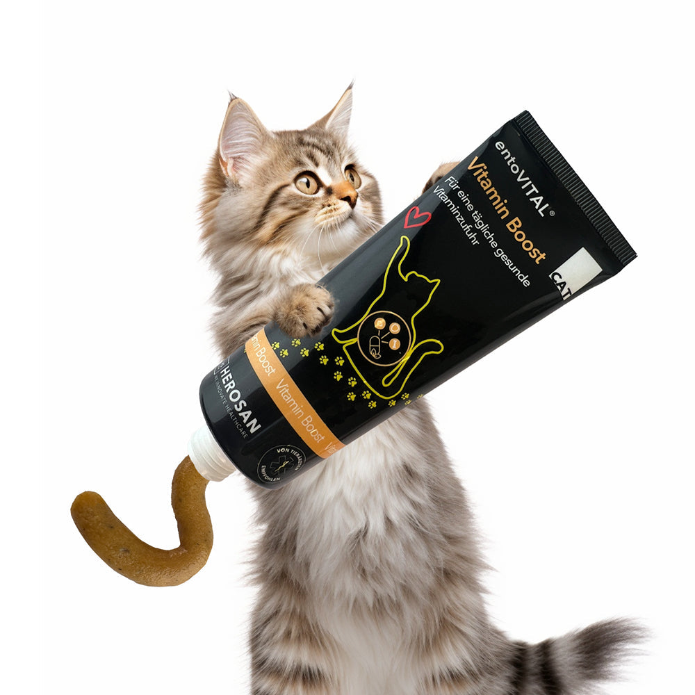 Werbemotiv: eine langhaarige Katze hält eine überdimensionale Tube entoVITAL CAT Vitamin Boost, aus der die Paste quillt
