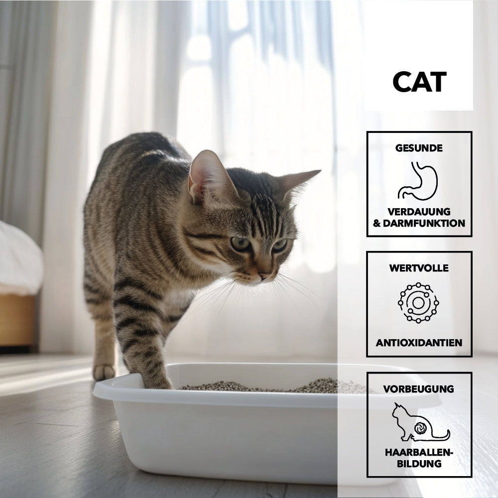 Getigerte Katze steigt aus der Katzentoilette, daneben die Merkmale: gesunde Verdauung und Darmfunktion, wertvolle Antioxidantien, Vorbeugung von Haarballenbildung