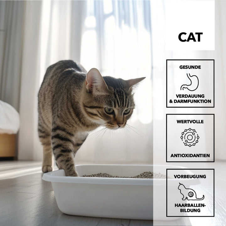 Getigerte Katze steigt aus der Katzentoilette, daneben die Merkmale: gesunde Verdauung und Darmfunktion, wertvolle Antioxidantien, Vorbeugung von Haarballenbildung