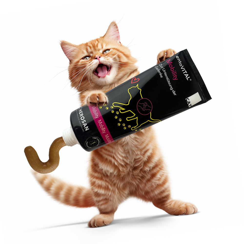 Werbemotiv: eine rote Katze hält eine überdimensionale Tube entoVITAL CAT Mobility, aus der die Paste quillt