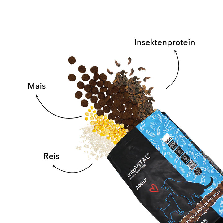 Zutaten von entoVITAL DOG ADULT: Insektenprotein, Mais und Reis neben dem geöffneten Futtersack