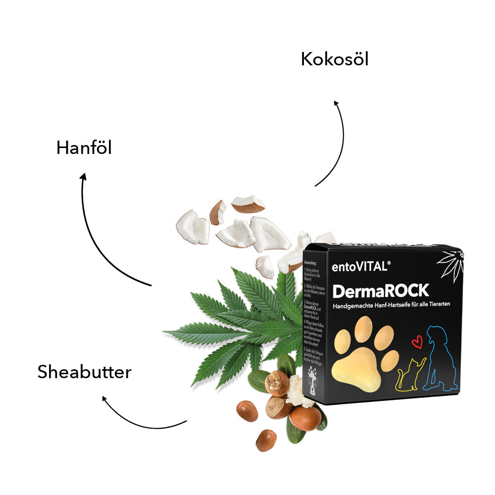 Zutaten von entoVITAL DermaROCK: Hanföl, Kokosöl und Sheabutter neben der Schachtel