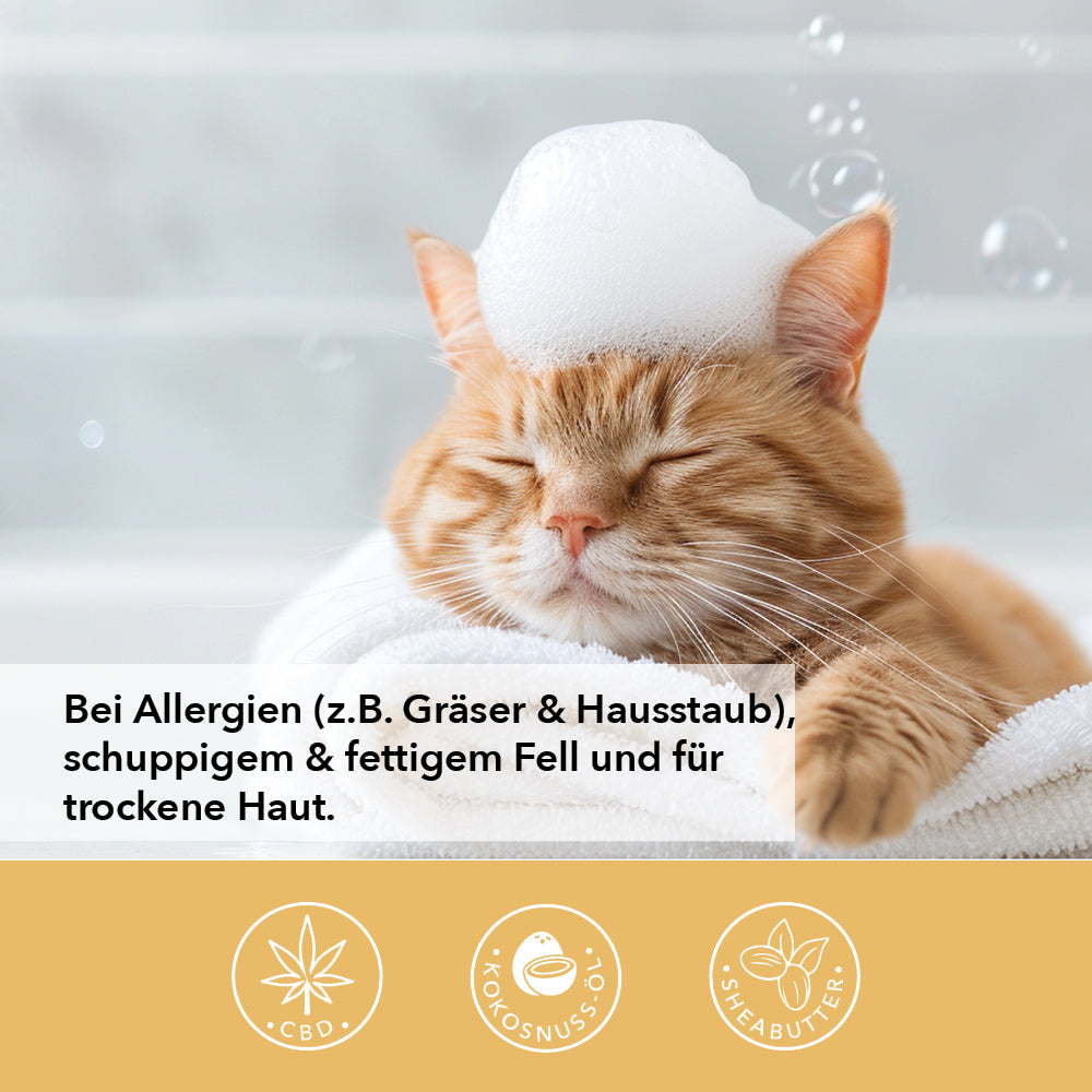 Rote Katze mit Schaumhaube auf einem Handtuch, dazu der Hinweis auf Allergien, schuppiges und fettiges Fell sowie trockene Haut, mit CBD, Kokosnussöl und Sheabutter