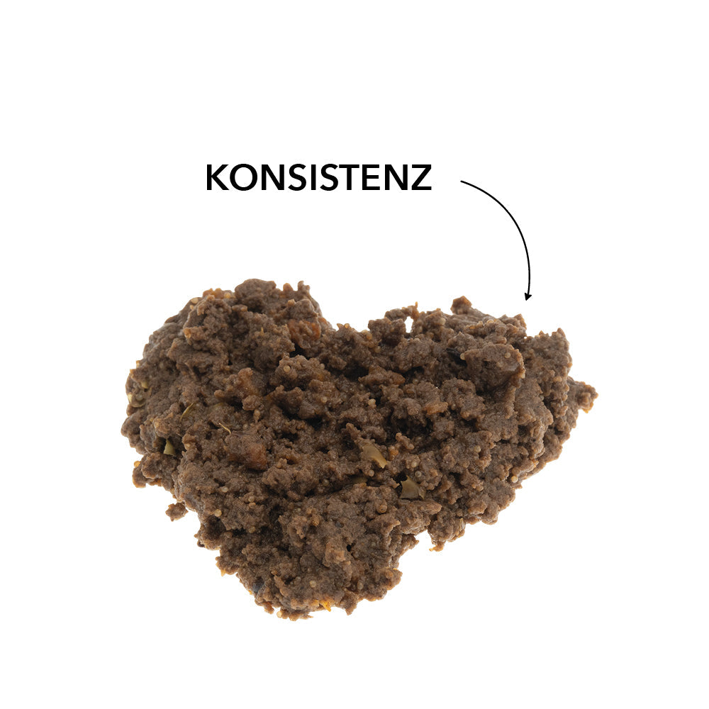 Konsistenz des entoVITAL DOG HYPOALLERGENIC Nassfutters als Nahaufnahme