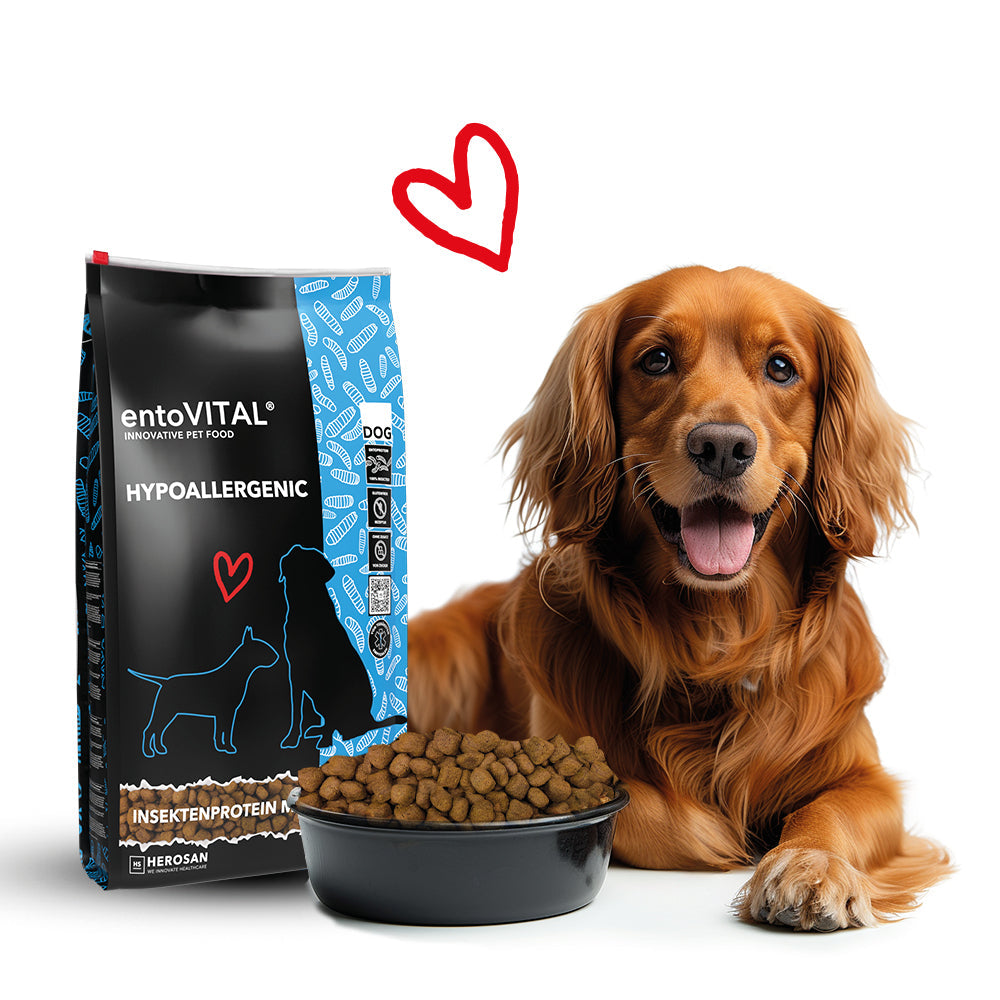 Rotbrauner Cocker Spaniel liegt neben einem Sack entoVITAL DOG HYPOALLERGENIC und einem gefüllten Futternapf, darüber ein rotes Herz