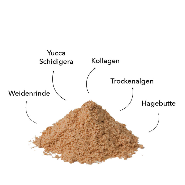 Zutaten von entoVITAL DOG move als Pulver: Weidenrinde, Yucca Schidigera, Kollagen, Trockenalgen und Hagebutte