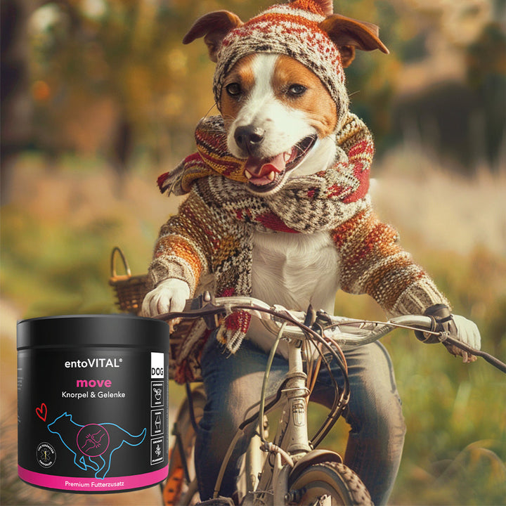 Werbemotiv: ein Jack Russell Terrier mit Strickmütze und Schal fährt Fahrrad, davor eine Dose entoVITAL DOG move