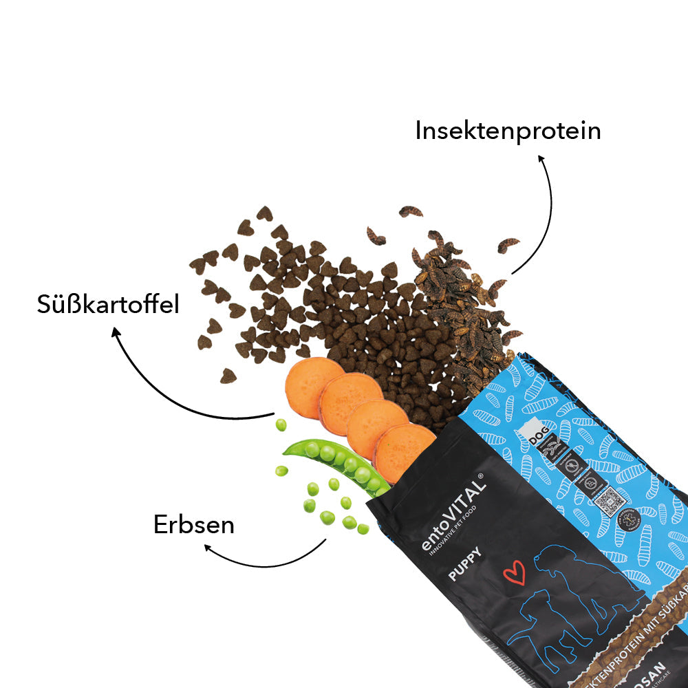 Zutaten von entoVITAL DOG PUPPY: Insektenprotein, Süsskartoffel und Erbsen neben den herzförmigen Kroketten
