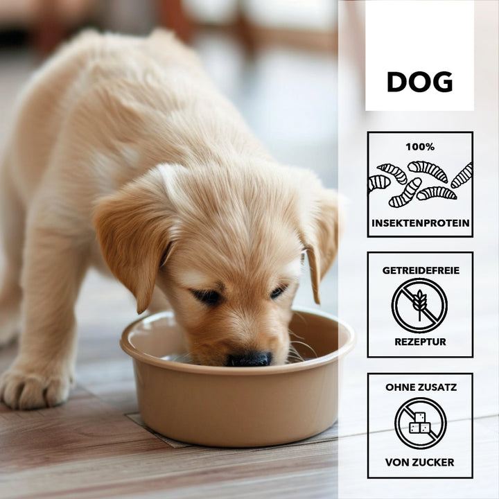 Golden-Retriever-Welpe frisst aus einem beigen Napf, daneben die Merkmale: 100 Prozent Insektenprotein, getreidefreie Rezeptur, ohne Zusatz von Zucker